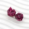 2 Pcs Real Rose Charms Set Rustic Natural Jewelry Making Material for DIY Earrings Boho Style Jewelry Crafting