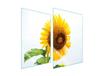 GLÄSERNE KOCHPLATTENSCHUTZPLATTE 2x35x52 BLUME