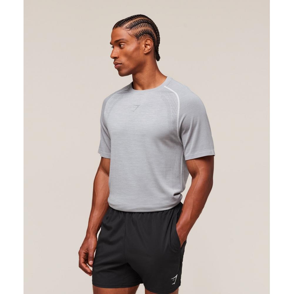 Gymshark VersaTile Seamless T shirT lighT Grey Smokey Grey A3b2u Gb8v