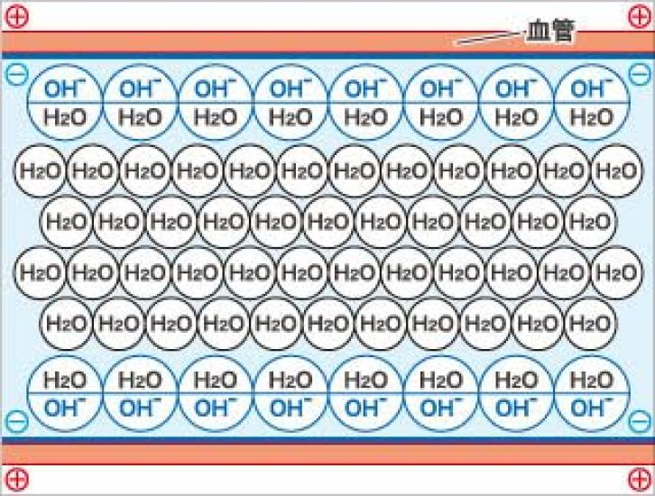 magic belt 6PACK doctor specializing in lower back pain DR1510 Autonomic nerve Menopause Neutral fat Blood flow Dopamine Serotonin Active oxygen Light