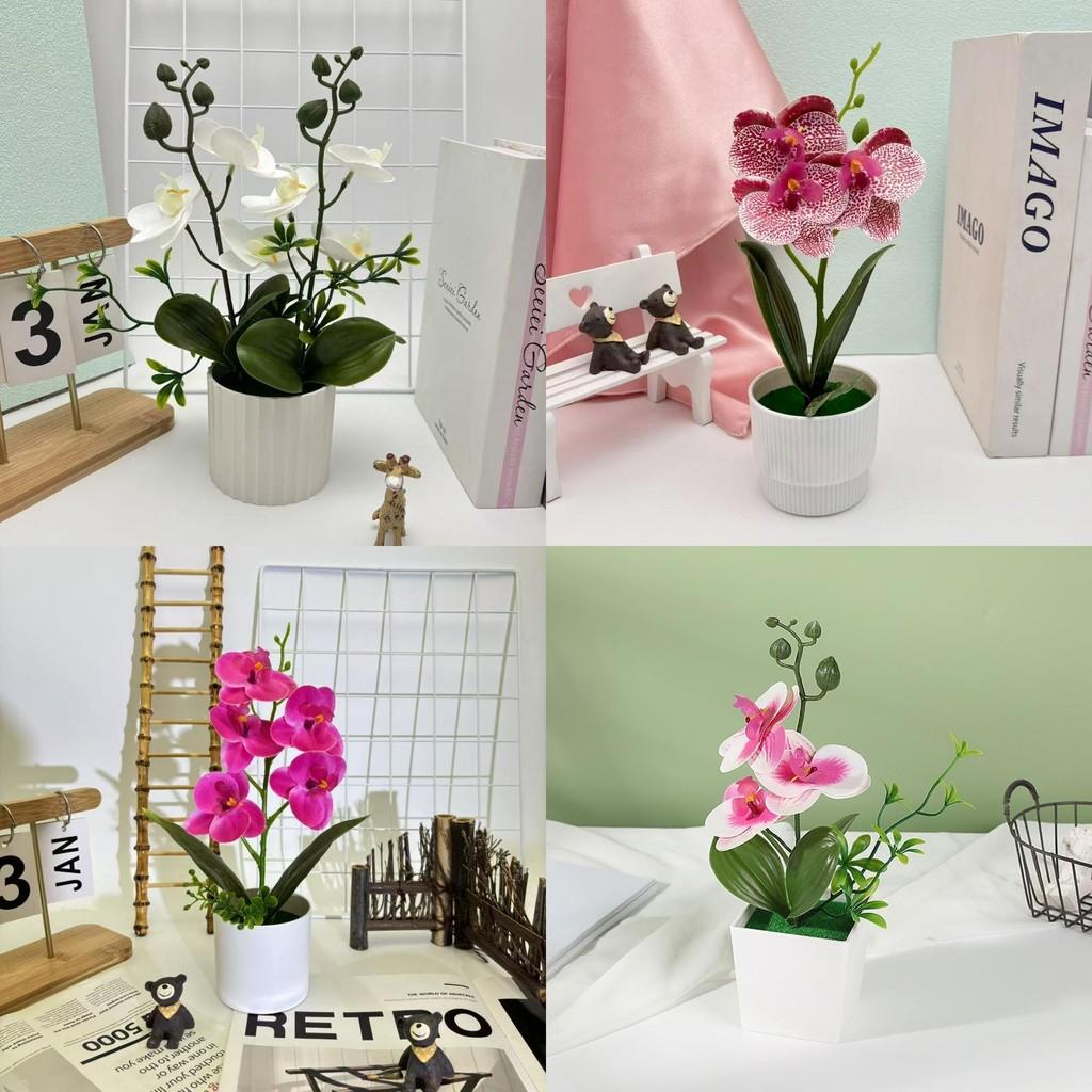 Butterfly Orchid Artificial Plant With 3d Printing For Home Decor And Photography Props