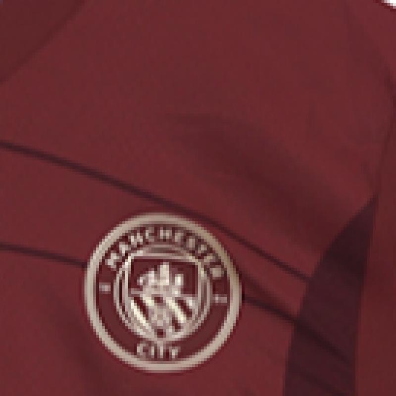 Puma Manchester City 2024 25 Third Authentic Jersey Man City Jersey