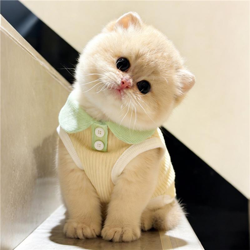Lightweight cat clothing, anti-shedding dopamine vest, small dog spring/summer polo shirt, 2026 new model XS зелёный