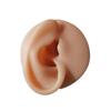 1Pc Soft Silicone Ear Model For Jewelry Display 1:1 Human Ear Model Simulation With Acrylic Display Teaching Tools Practice Ear