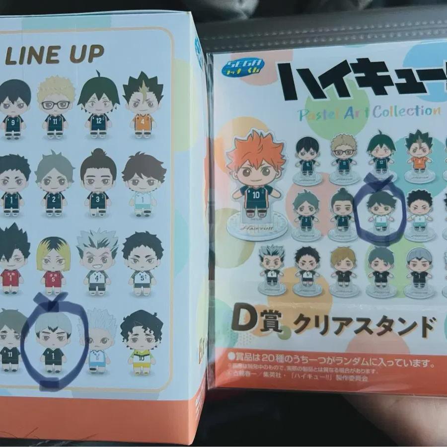 

Sega Haikyu Coogee B Prize D Award