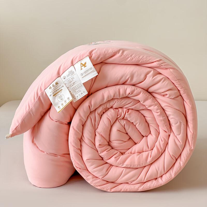 Pugu Warm Xinjiang Cotton Duvet Insert