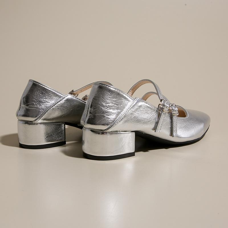 Coarse heel silver single shoes women's 2025 new spring and autumn with skirt evening shoes Mary Jane high heels low heel small leather shoes