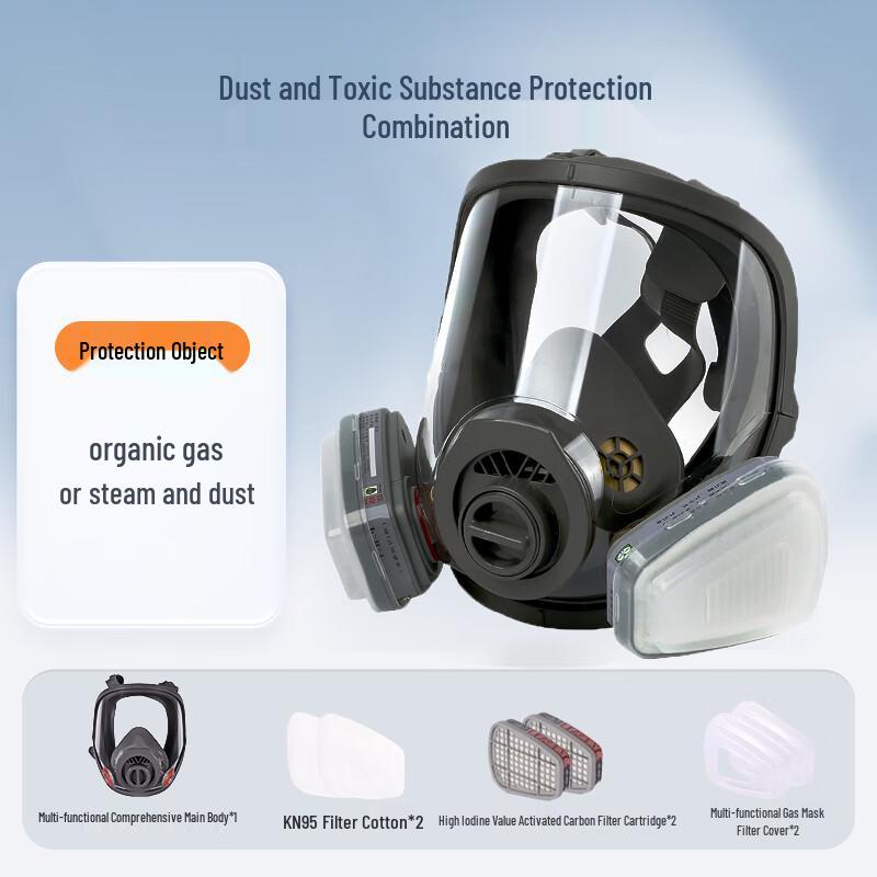 Taodun 6800 Full Face Respirator Mask