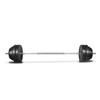 VidaXL Haltère Curl avec Poids Disques à Revêtement Plastique Gymnase Sport 90372