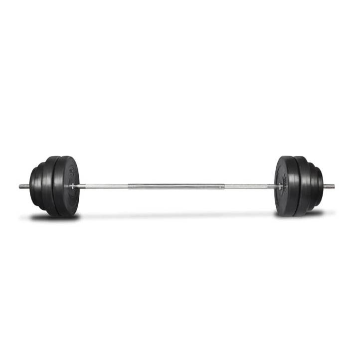VidaXL Haltère Curl avec Poids Disques à Revêtement Plastique Gymnase Sport 90372