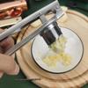 LISM Manual Stainless Steel Garlic Press