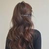 Korean Simple Hairpin: Temperament Ponytail & Horizontal Clip Headdress