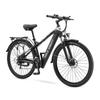HALO KNIGHT H02 Vuxen Elcykel 750W Motor 48V16Ah Batteri 29 Tum Feta Däck Terräng Elcykel