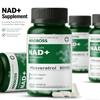 Windboss Precursor de NAD+ de Alta Potência | 900mg de NR Lipossomal + NMN Puro | Infundido com Quercetina e Trans-Resveratrol para Suporte Cognitivo
