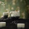 Nanshan Mister High-End Chinese Quick Tea Set