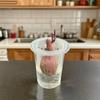 Transparent Plastic Hydroponic Mesh Cups Plant Propagation Vegetable Nursery Clear Hydroponic Pots Flowerpot Planting Container