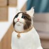 Adjustable Dog Cat Chain Collar with Bell Exquisite Fashionable Pet Jewelry Pet Accessories