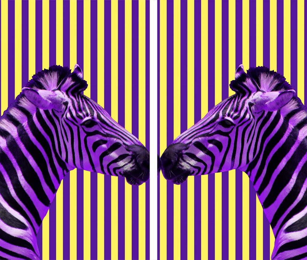 Szklana Deska Do Krojenia 2X 30X52 Zebra