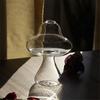 New Transparent Mushroom Shaped Glass Vase Aromatherapy Bottle Creative Home Hydroponic Flower Table Simple Decoration
