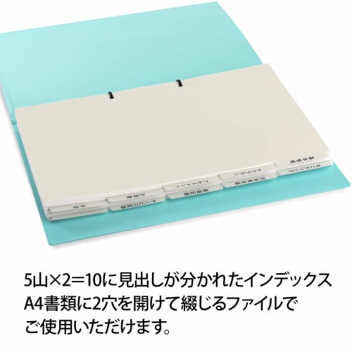 Plus For Nursing Care 5 Indexes X 2 A4 2 Holes Tasukea for User Medical Records 98-078 X 3 Sets