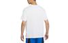 Nike T Shirts Men's White Crew Neck Moderate Straight Fit DJ1589-100