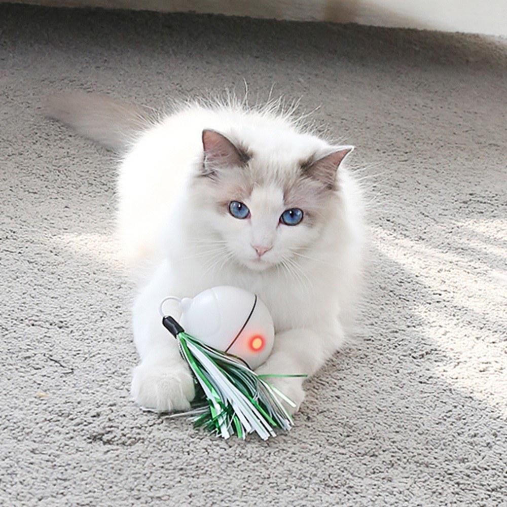 motion activated cat toy