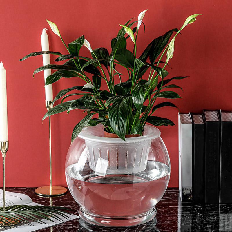 1PC Fish Tank Hydroponic Flower Pot Soilless Plant Pot Hydroponic Vase Vase Planter Pot Plastic