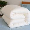 Oeny Thickened Warm Winter Cotton Quilt