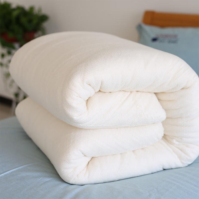 Oeny Thickened Warm Winter Cotton Quilt