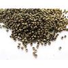 Perles à écraser (Plombs) 2mm Bronze 60 pièces