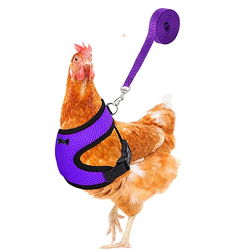 1 Pcs Fashion Chicken Duck Vest Hen Belt Pet Harness Matching Collars Bow Comfortable Leads Breathable Poultry Supplies