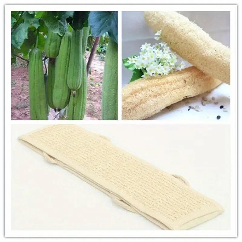 Peeling-Körperwäscher - Weiches Waschlappen für die Entfernung abgestorbener Haut & Trockenbürsten | Langer Badeschwamm mit Band für Dusche & Spa