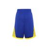 Nike Golden State Warriors Icon Edition Men's Nike Nba Swingman Shorts AV4972-495