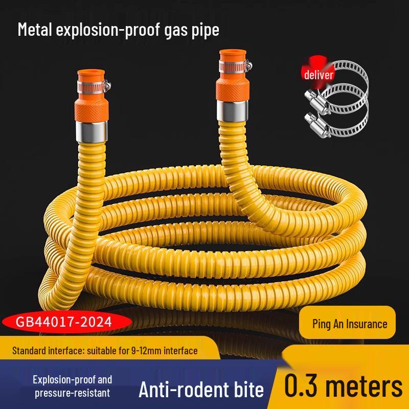 

New Explosion-Proof Metal Gas Hose for Liquefied/Natural Gas