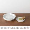 Nichinichi Tools Ceramic Made In Dishwasher Safe Grater, Large, 18.2cm, Japan,