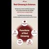 PNBG (PoongyunBogam) - Korean Red Ginseng All Day Good Time Gold (Red Ginseng Stick)