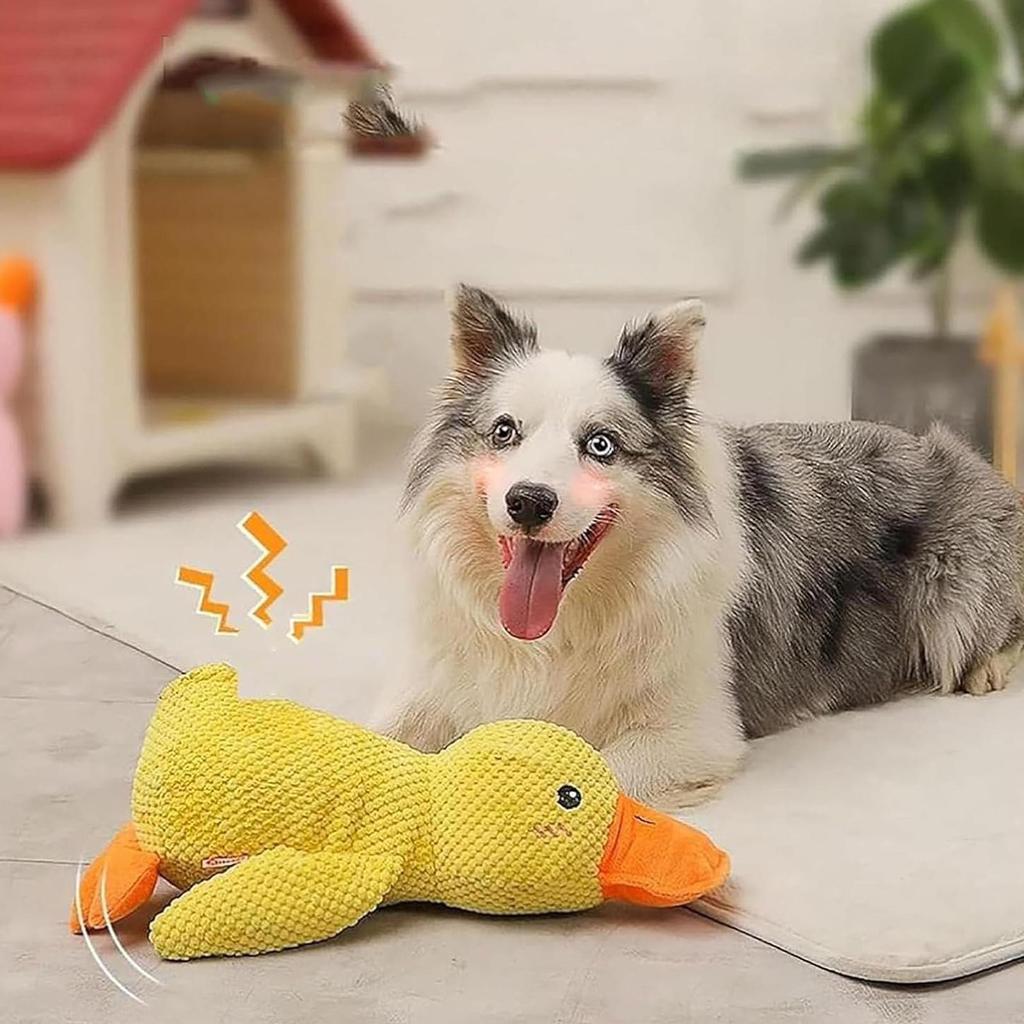 Squeaky Dog Toys new Upgraded Interactive Squeaky Soft Comfort Pet toy Durable Stuffed Quack Crazy Squeak Sounds toys for Puppy