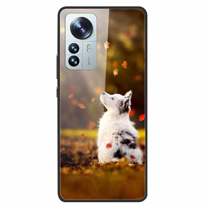 Tempered Glass Cases For Xiaomi 12T 5G Case Hard Phone Back Cover for Xiaomi 12T Pro Protection Shells Mi 12 T 12TPro 2022 Cool