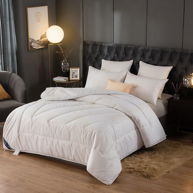 

Belle Anna Winter Warm Nano Pearl Fiber Quilt