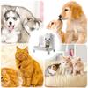 Automatic Dog Feeder 2 In 1 Pet Food Dispenser Smart Detachable Waterer For Dispensing Drinking Bunny Puppy Kitten Home Indoor