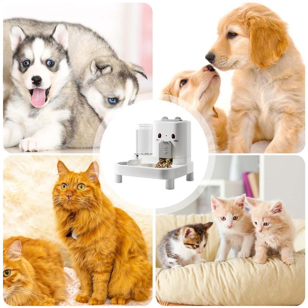 Automatic Dog Feeder 2 In 1 Pet Food Dispenser Smart Detachable Waterer For Dispensing Drinking Bunny Puppy Kitten Home Indoor