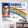 Funny Hawaii Driver License Tapestry Flat Print Rainbow Id Card Wall Hanging For College Dorm Room Decor Meme Humor Poster