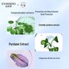 Chando Little Gold Umbrella Sunscreen Primer SPF50+