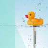Adorable Duck & Flamingo Floating Thermometer for Hot Tubs, Bathtubs & Fish Ponds - Battery-Free, Easy-to-Read, Perfect for Reptiles & Amphibians