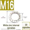 304 Stainless Steel External & Internal Tooth Lock Washer, Anti-Slip, Anti-Loosening, Size M6-M30