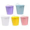 Flowerpot Candy Colored Iron Flower Pot Small with Handle Iron Bucket Plants Pen Holder for Home Garden Office