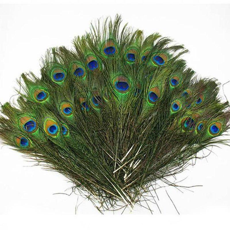 10pcs Fashion DIY Feather 20Pcs Beautiful Blue Peacock Feather