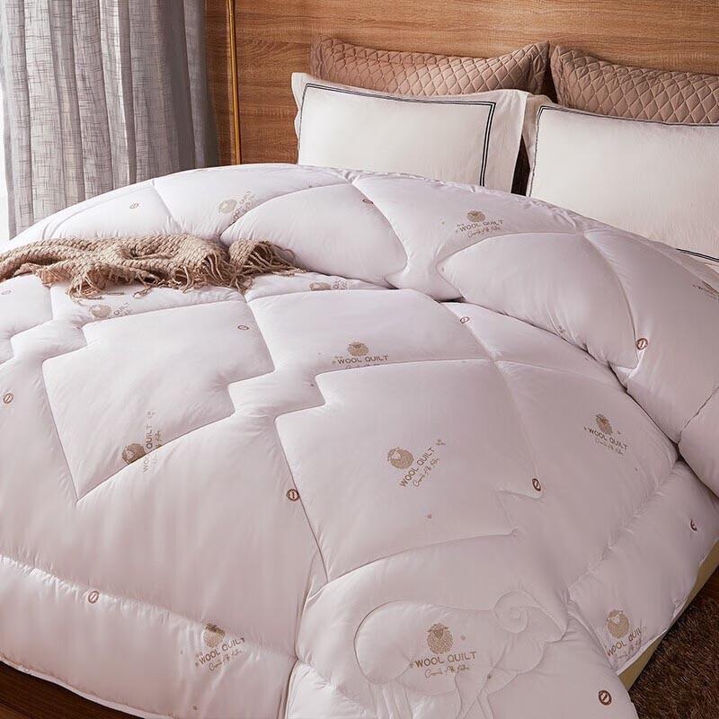 BEYOND HOME TEXTILE NuanZhen 100% Wool Comforter