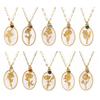 White Shell Pendant Pendant Necklaces 12 Birth Month Charm Clavicle Chain Girlfriend Gift