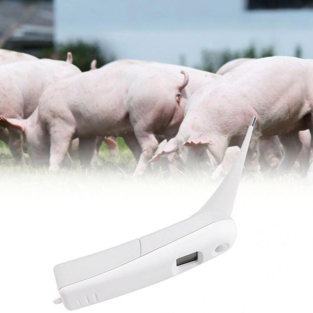Tierarzt-Thermometer Haustier Digitales Thermometer Elektronisches Thermometer für Tiere